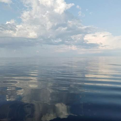 Photo #12304267