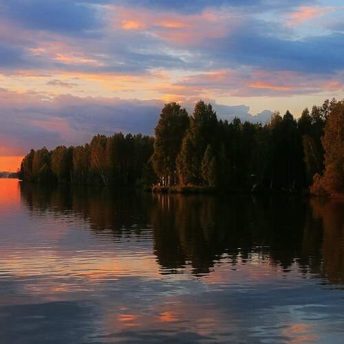Photo #12304302