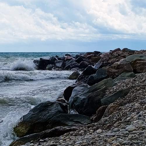 Photo #12304425