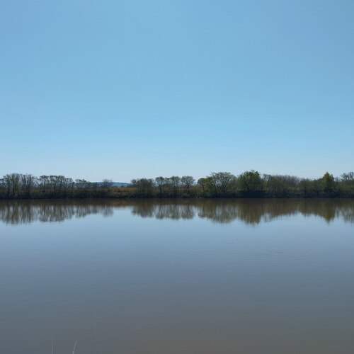 Photo #12304443