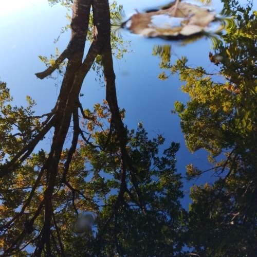 Photo #12304445