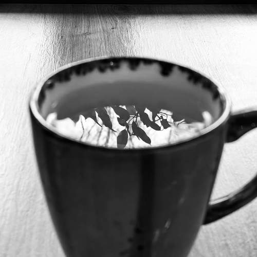 Photo #12304653