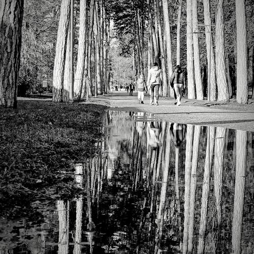 Photo #12304682