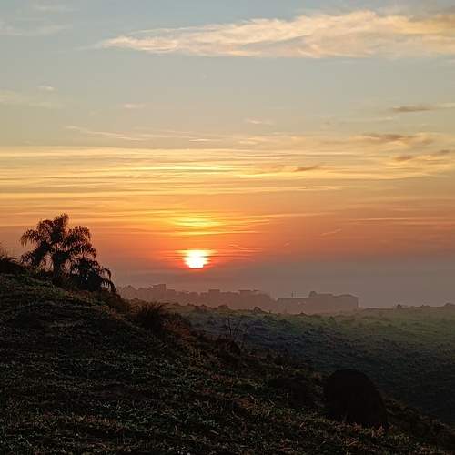Photo #12304735