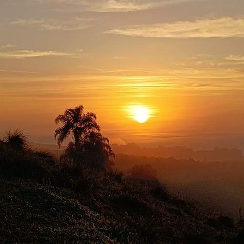 Photo #12304738