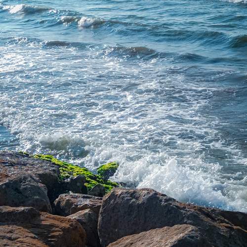 Photo #12305171