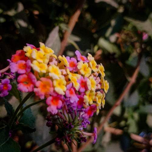 Photo #12305175
