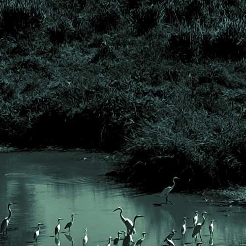 Photo #12305259