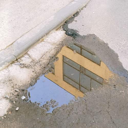 Photo #12305276