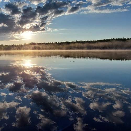 Photo #12305365