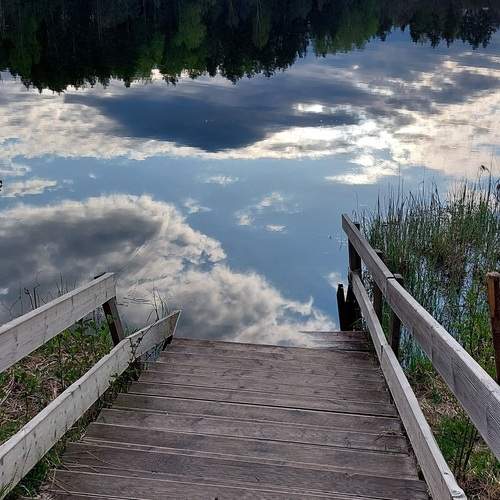 Photo #12305414