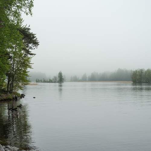 Photo #12305470