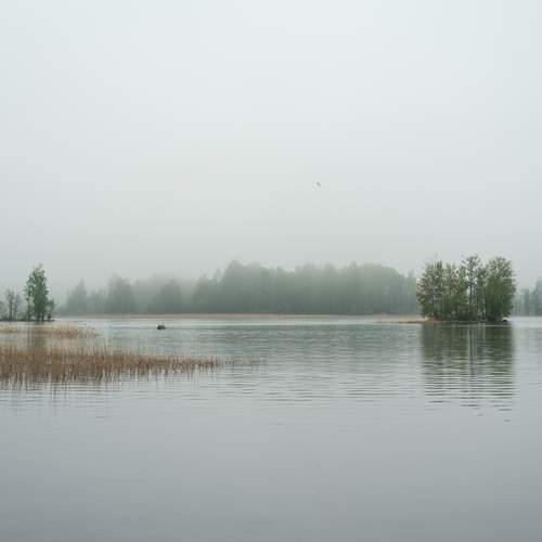 Photo #12305475