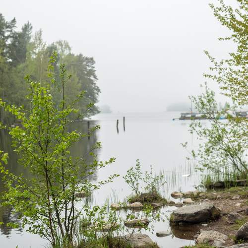 Photo #12305480