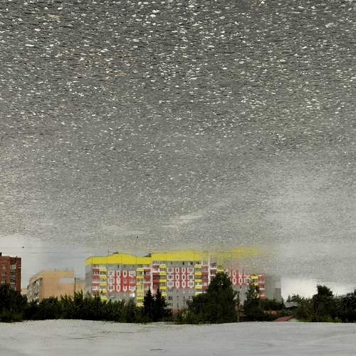 Photo #12305613