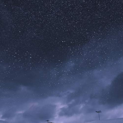 Photo #12305614