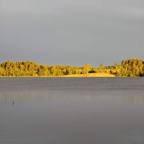 Photo #12305618