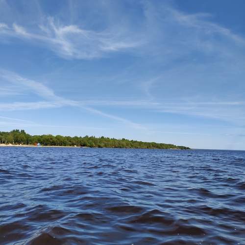 Photo #12305644