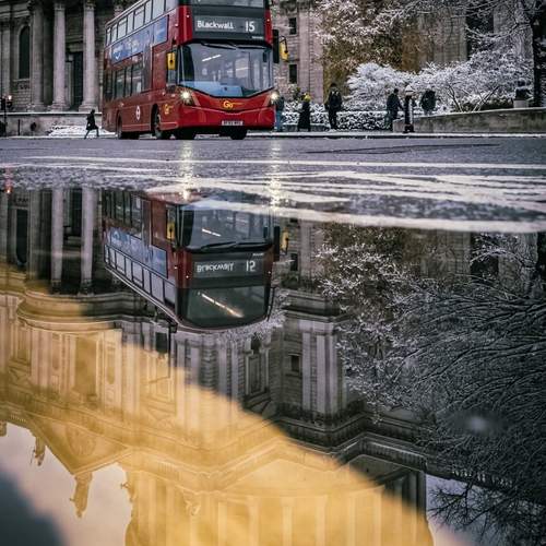 Photo #12305775