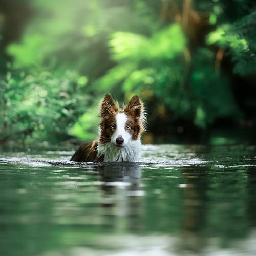 Photo #12305857