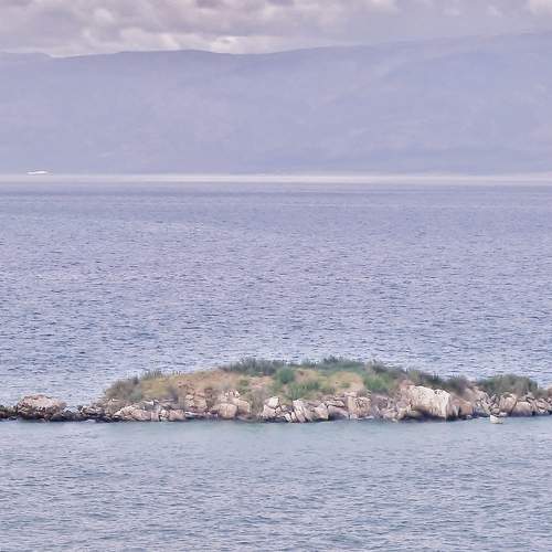 Photo #12306420