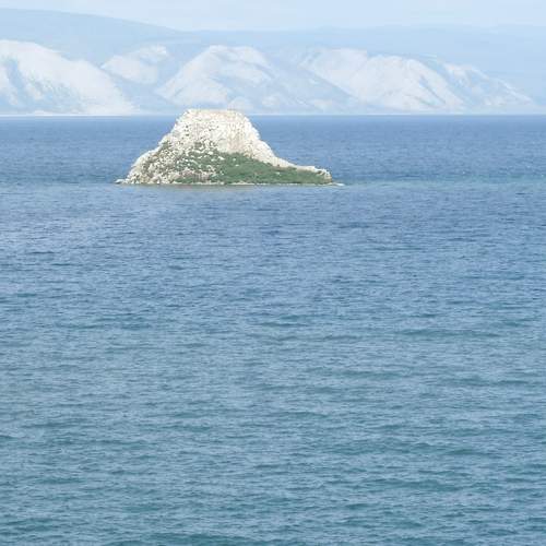 Photo #12306428