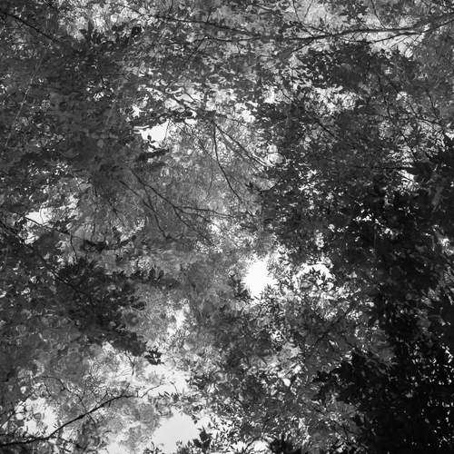 Photo #12306436