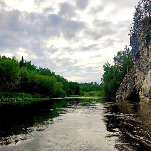 Photo #12306630