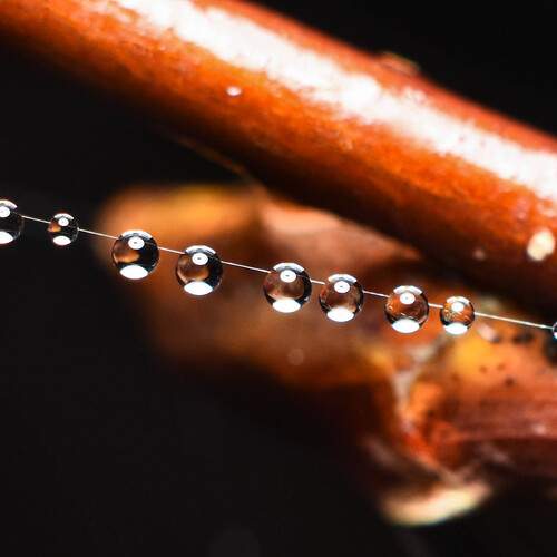 Photo #12306760