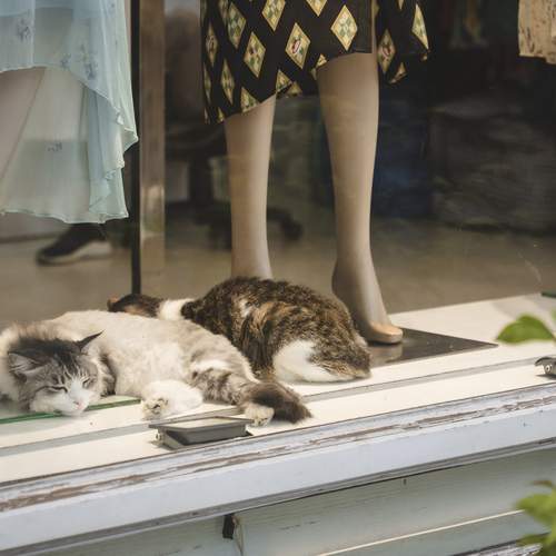 Photo #12307005