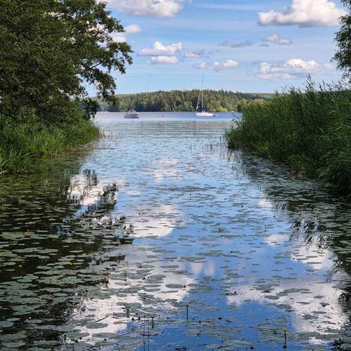 Photo #12307302
