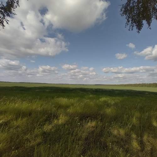 День летнего солнцестояния