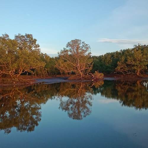 Photo #12307462