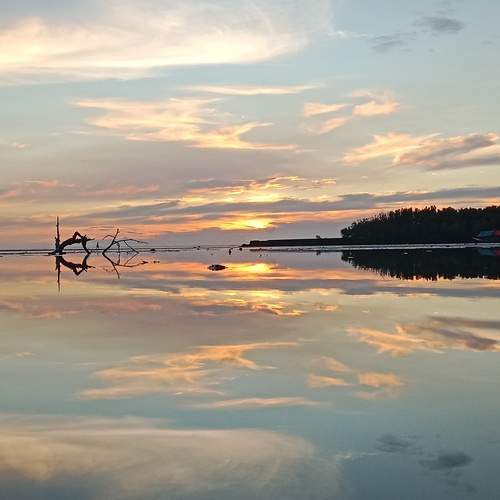 Photo #12307497