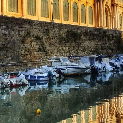 Photo #12307499