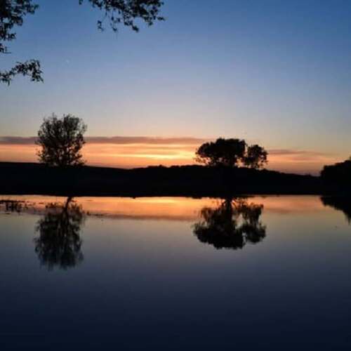 Photo #12307860