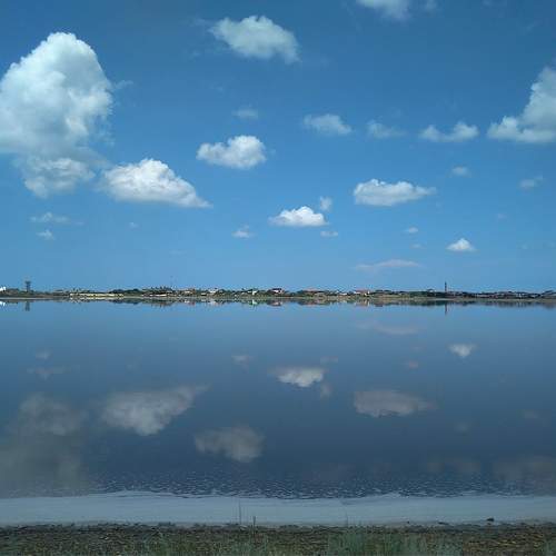 Photo #12307879