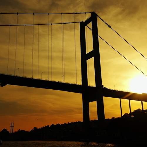 Photo #12307941