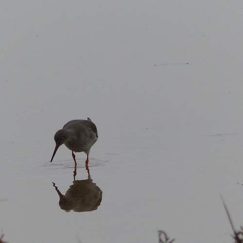 Photo #12307966