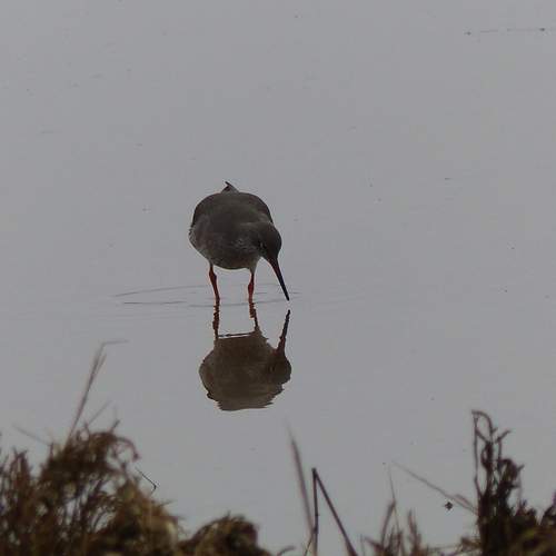 Photo #12307967