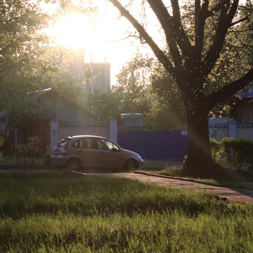 Photo #12308081