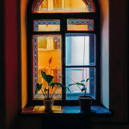 Photo #12308173
