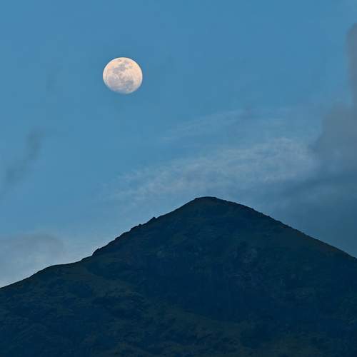 Photo #12308203