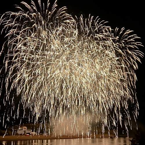 Photo #12308264