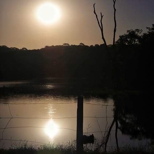 Photo #12308329