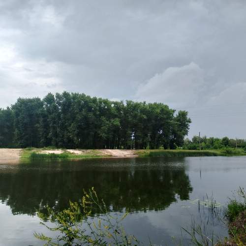 Photo #12308467