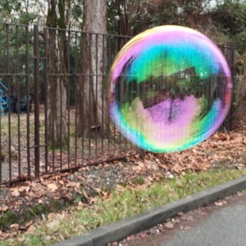 Photo #12308508