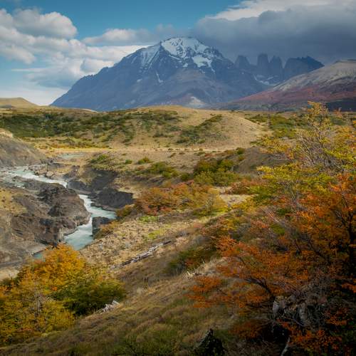 Photo #12308745