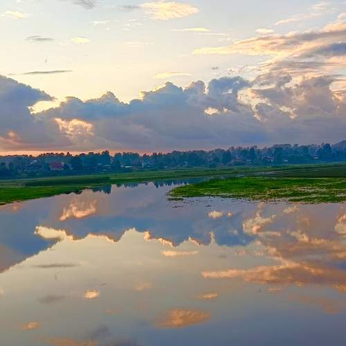 Photo #12308976