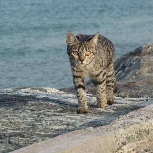 Photo #12309014